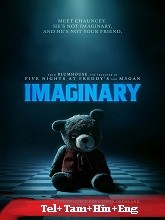 Imaginary