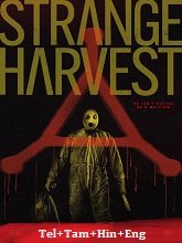 Strange Harvest