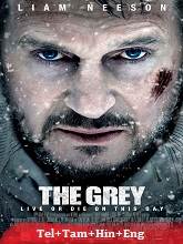 The Grey